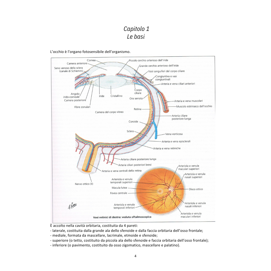 Appunti | Oftalmologia