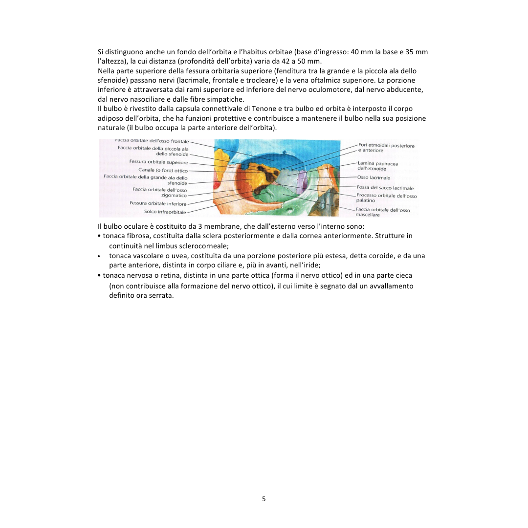 Appunti | Oftalmologia
