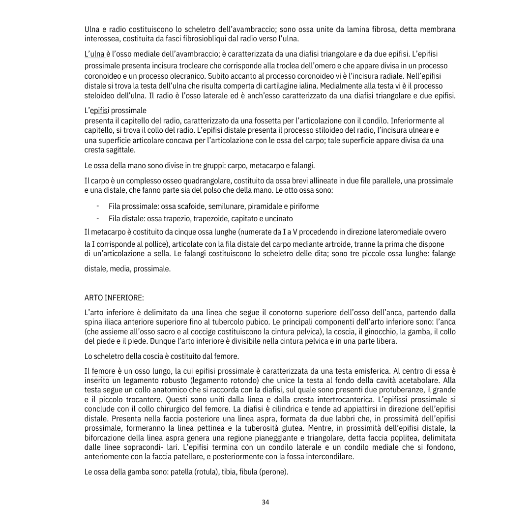 Appunti | Anatomia umana