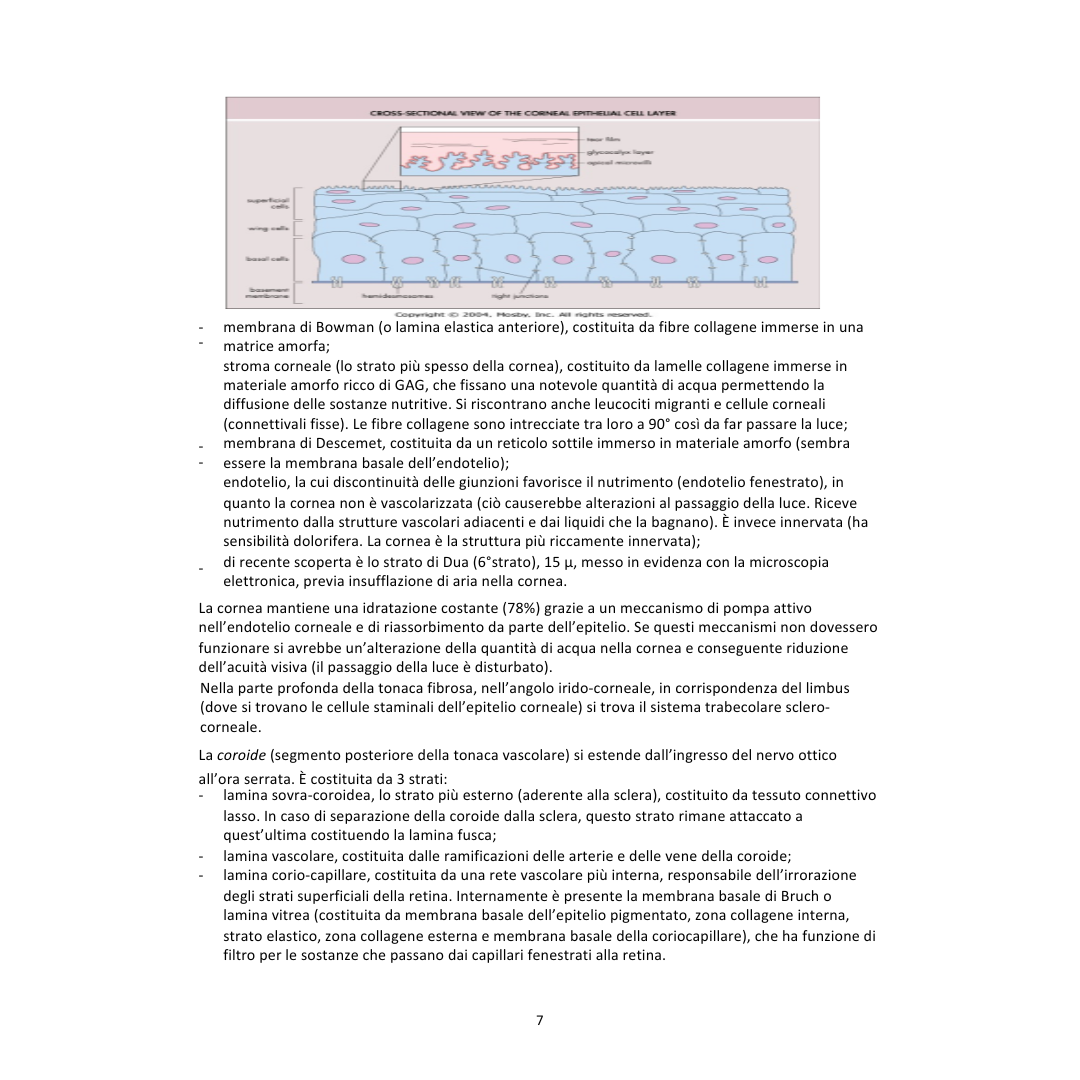 Appunti | Oftalmologia