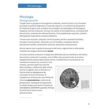 Appunti | Micologia