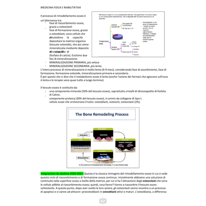 Appunti | Malattie del metabolismo osseo