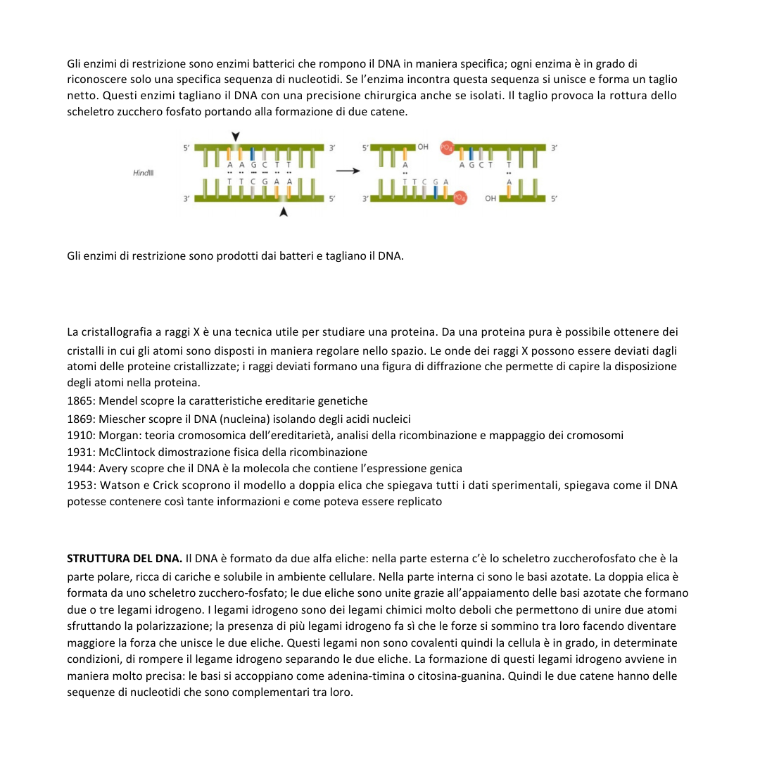 Appunti | Biologia molecolare