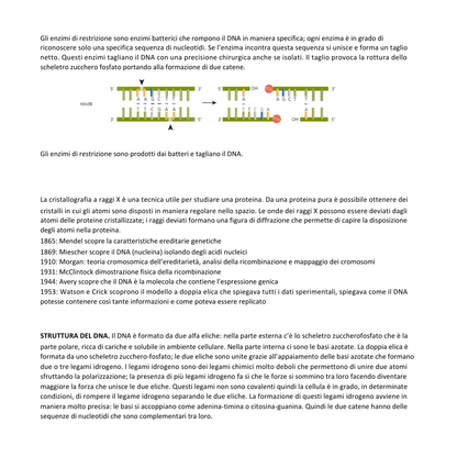 Appunti | Biologia molecolare