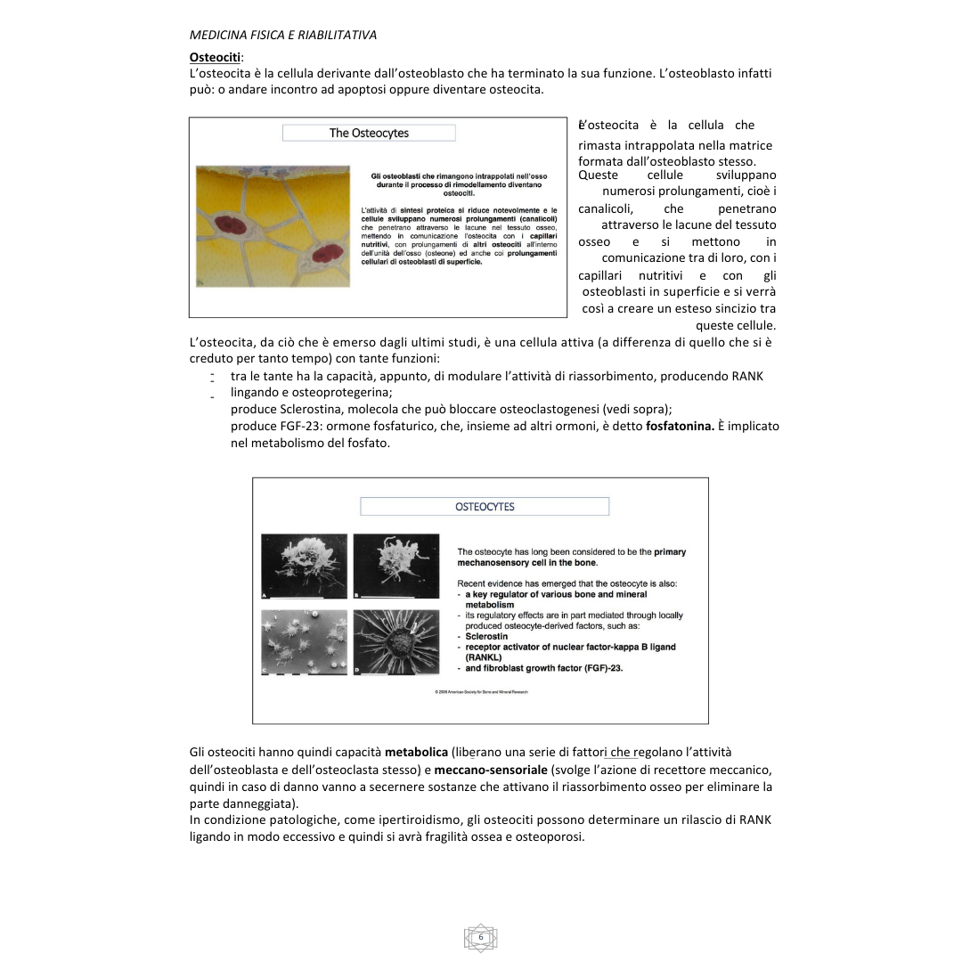 Appunti | Malattie del metabolismo osseo