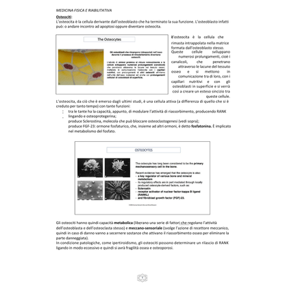 Appunti | Malattie del metabolismo osseo