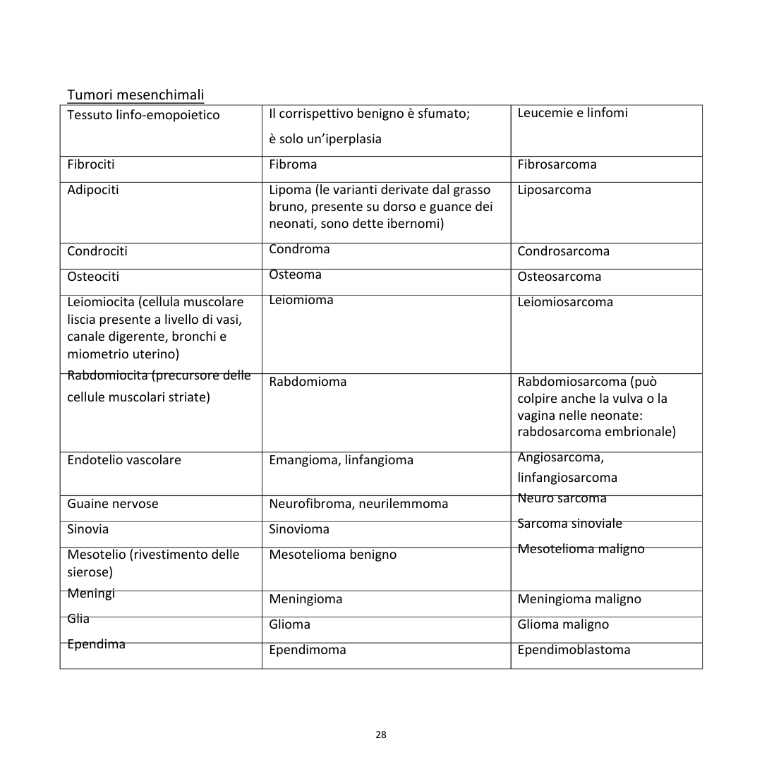 Appunti | Anatomia patologica