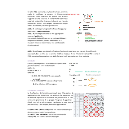 Appunti | Genetica