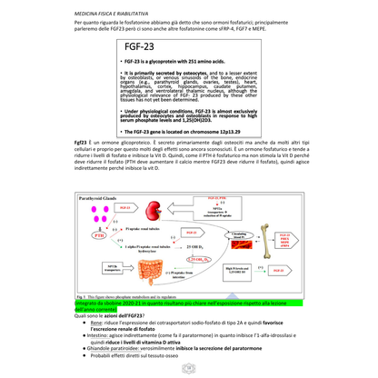 Appunti | Malattie del metabolismo osseo