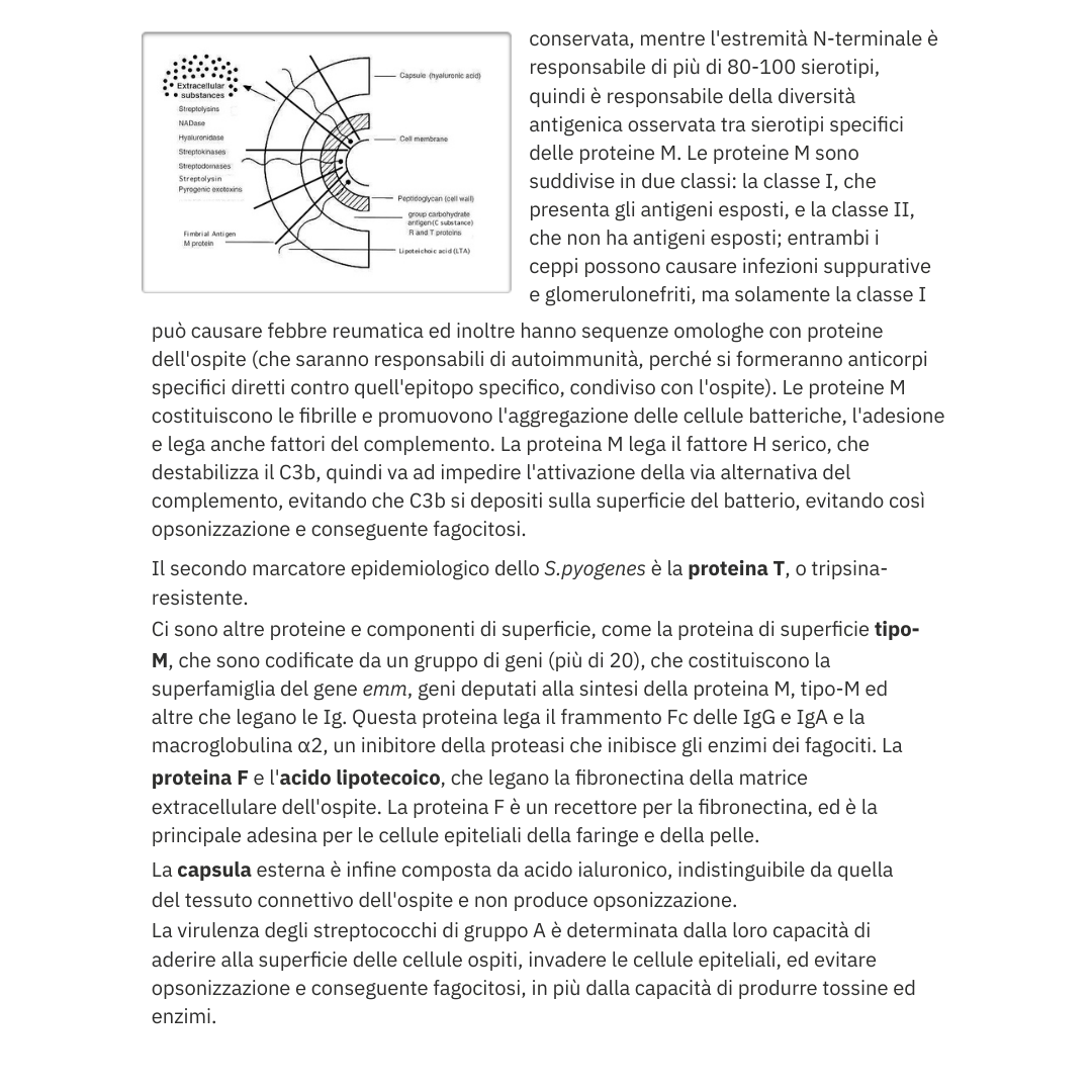 Appunti | Batteriologia