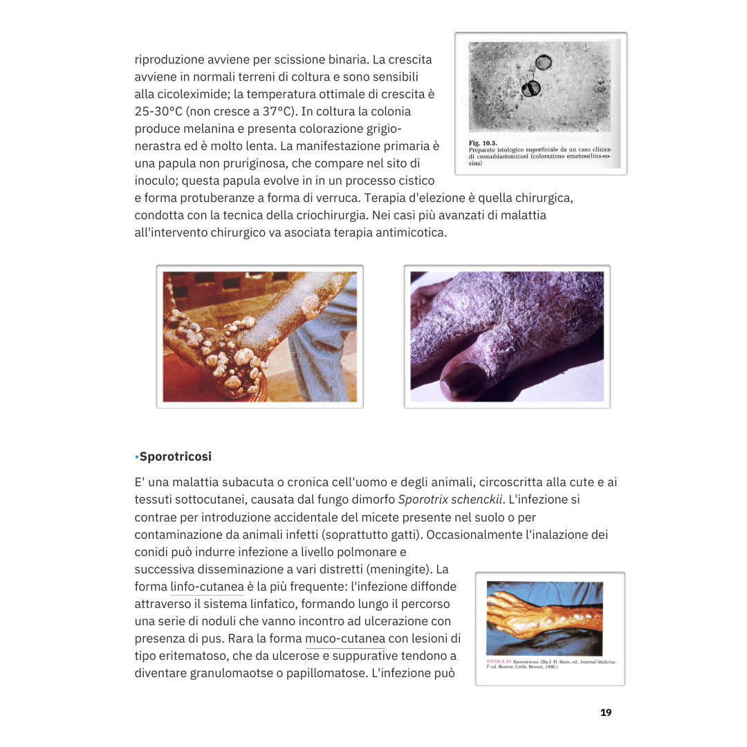 Appunti | Microbiologia