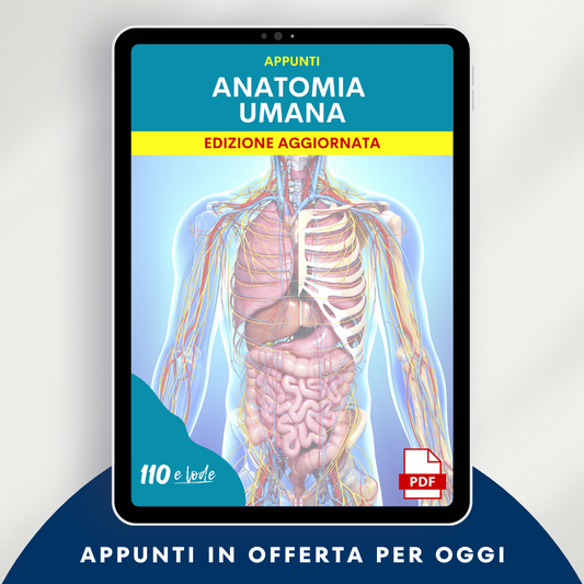 Appunti | Anatomia umana