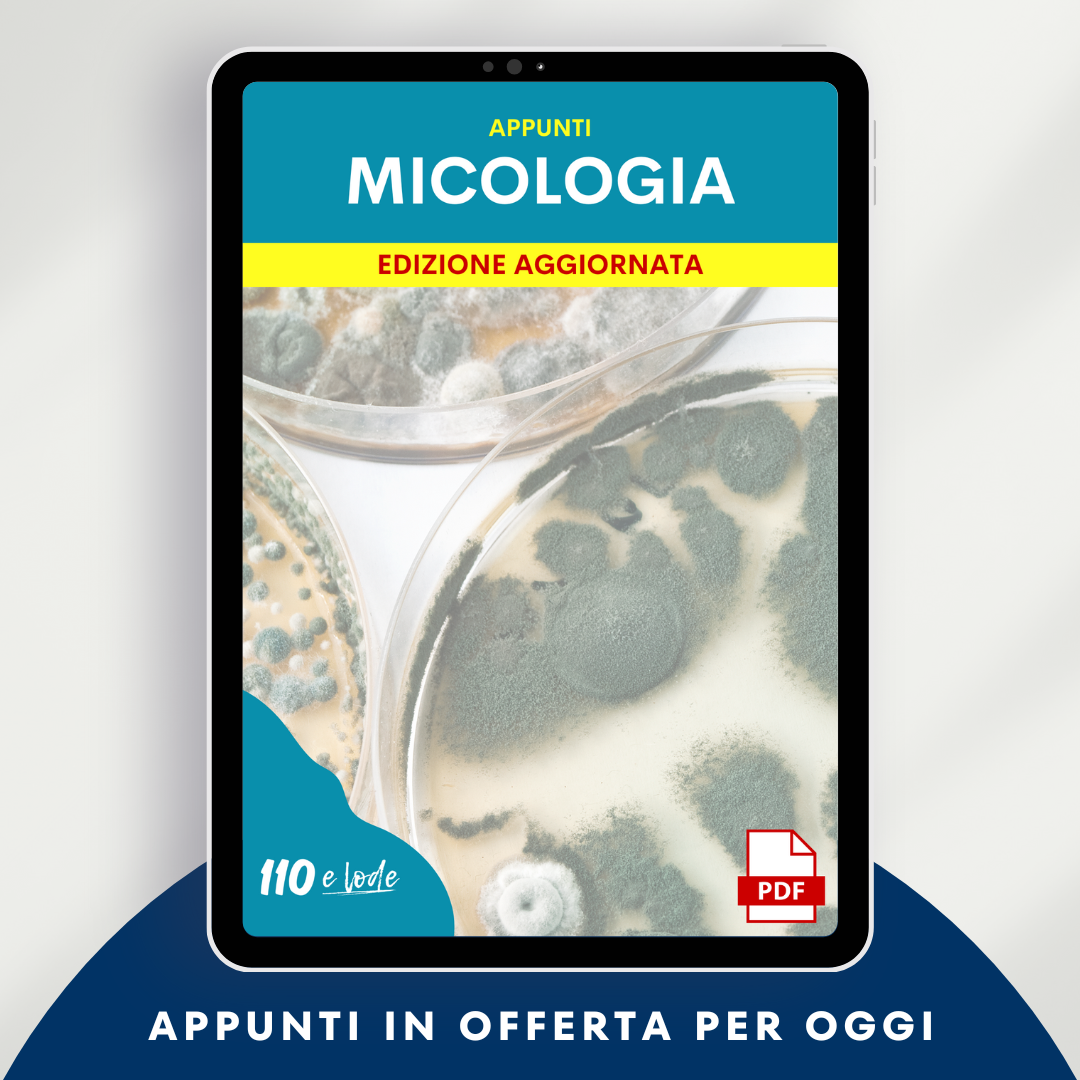 Appunti | Micologia